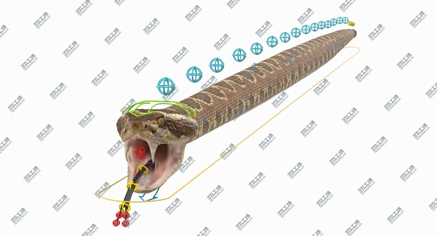 images/goods_img/202104023/Rattlesnake Rigged 3D model/4.jpg